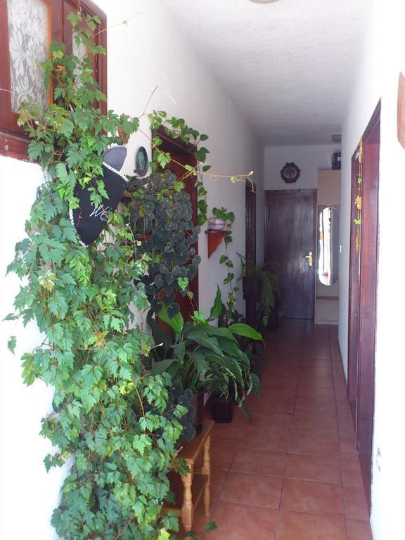 Apartment Leona Senj  Exterior foto