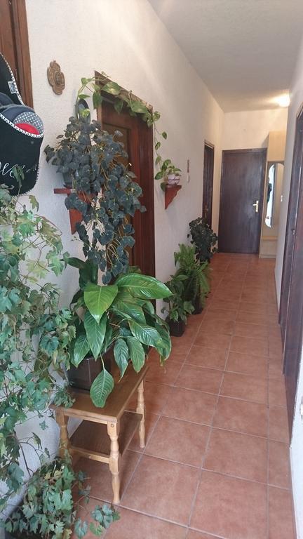 Apartment Leona Senj  Exterior foto